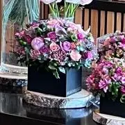 natasan13の画像