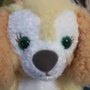 ❁ K&S ❁の画像