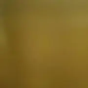 にもさんの画像