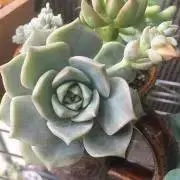 まる