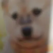 チキン