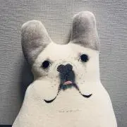ブルヲの画像