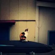 muuuumの画像