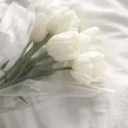 。の画像