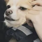 natsu☻*の画像