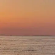 みいの画像