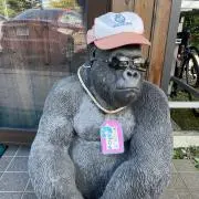 Sullyoon_o