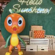 るるの画像