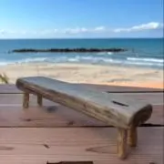 流古庵の画像