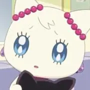 rの画像
