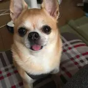 みみこ☆プロフィール必読の画像