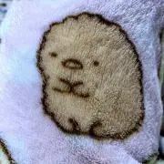 ぬちょの画像