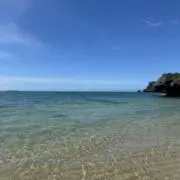 MUの画像