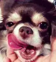 あズの画像