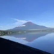 stephanieの画像