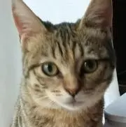 まめじろう
