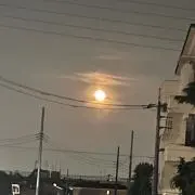 わたる