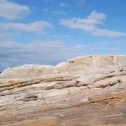 クジラ