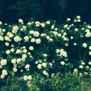 みなめっこの画像