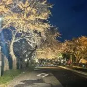 なの画像