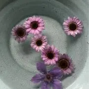 あき