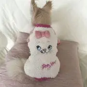 ぎゅ