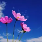 まーさんの画像