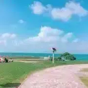 ちこの画像