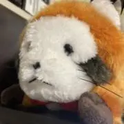 Guchiの画像