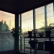 Jicksの画像