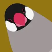 ピヨヨ