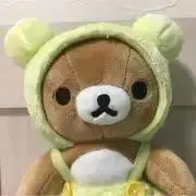 Sの画像