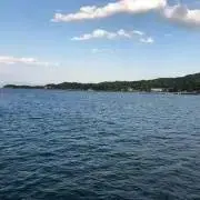 GUMの画像