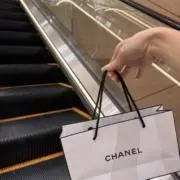 ポニーの画像