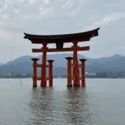 にゃーにゃーの画像
