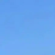 ミカンの画像