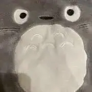 レオンの画像