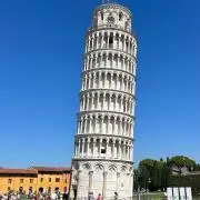 ゆたの画像