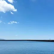 ✳︎reo nya✳︎の画像