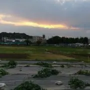 とうふ