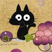 Nekoおばさん