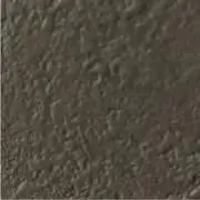 ひまわりの画像