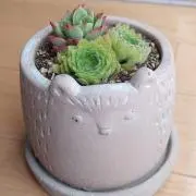 もな