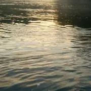 som