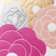 COCOの画像