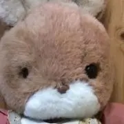 タータン