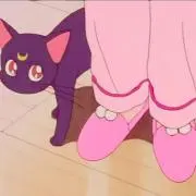 すぴかの画像