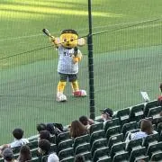 やんつの画像