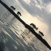 ❤︎の画像