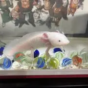 タケユウ